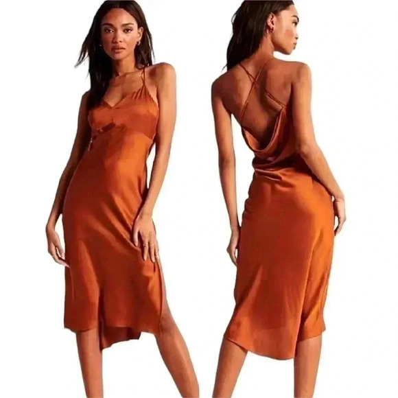 Abercrombie& Fitch Cheetah Satin Slip Dress Small Midi Plunge Cowl Back Mob Wife - Picture 3 of 7